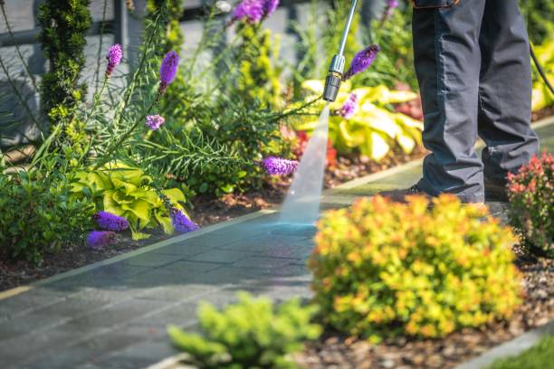 Best Driveway Pressure Washing  in Elk Creek, KY