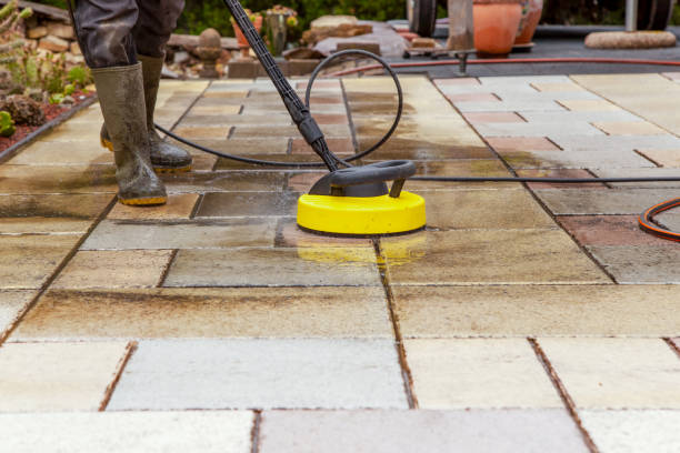 Best Animal Enclosure Cleaning  in Elk Creek, KY